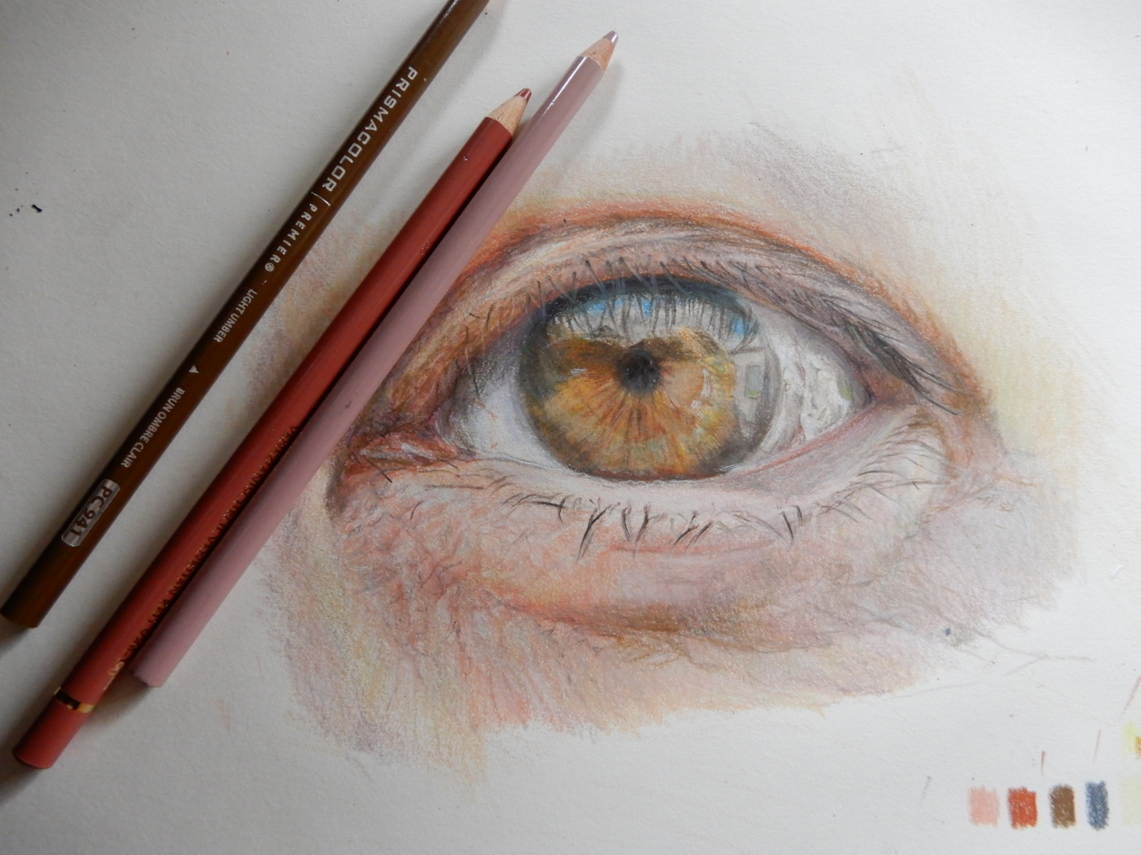 色鉛筆でリアルな目を描く方法 画材マニアのアート ラボ