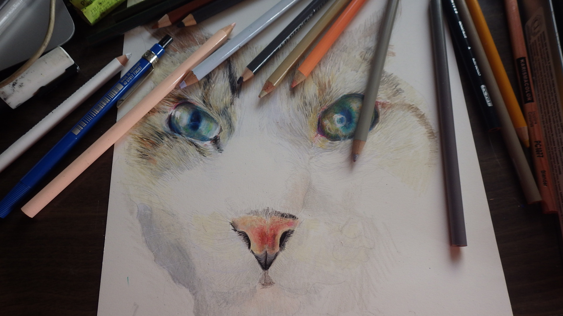 色鉛筆でリアルな猫を描く 画材マニアのアート ラボ