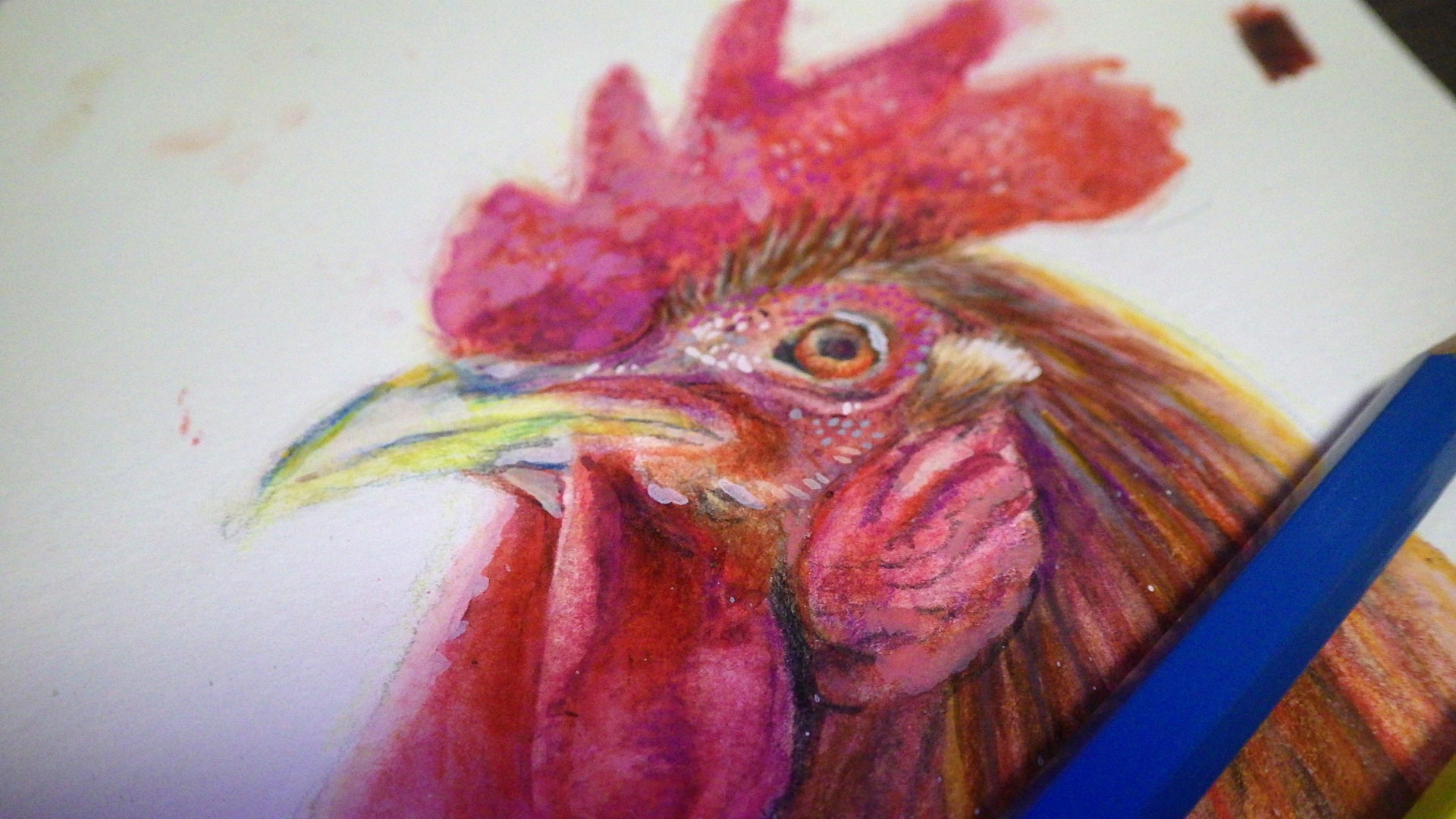 水彩色鉛筆で鶏を描く 画材マニアのアート ラボ