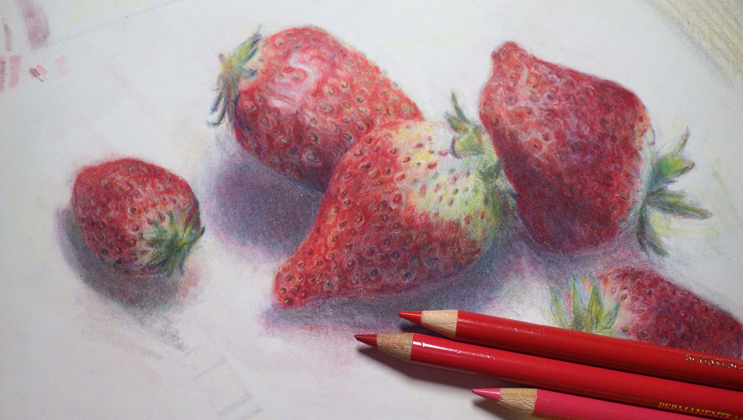 色鉛筆で果物を描く 画材マニアのアート ラボ ポリクロモス