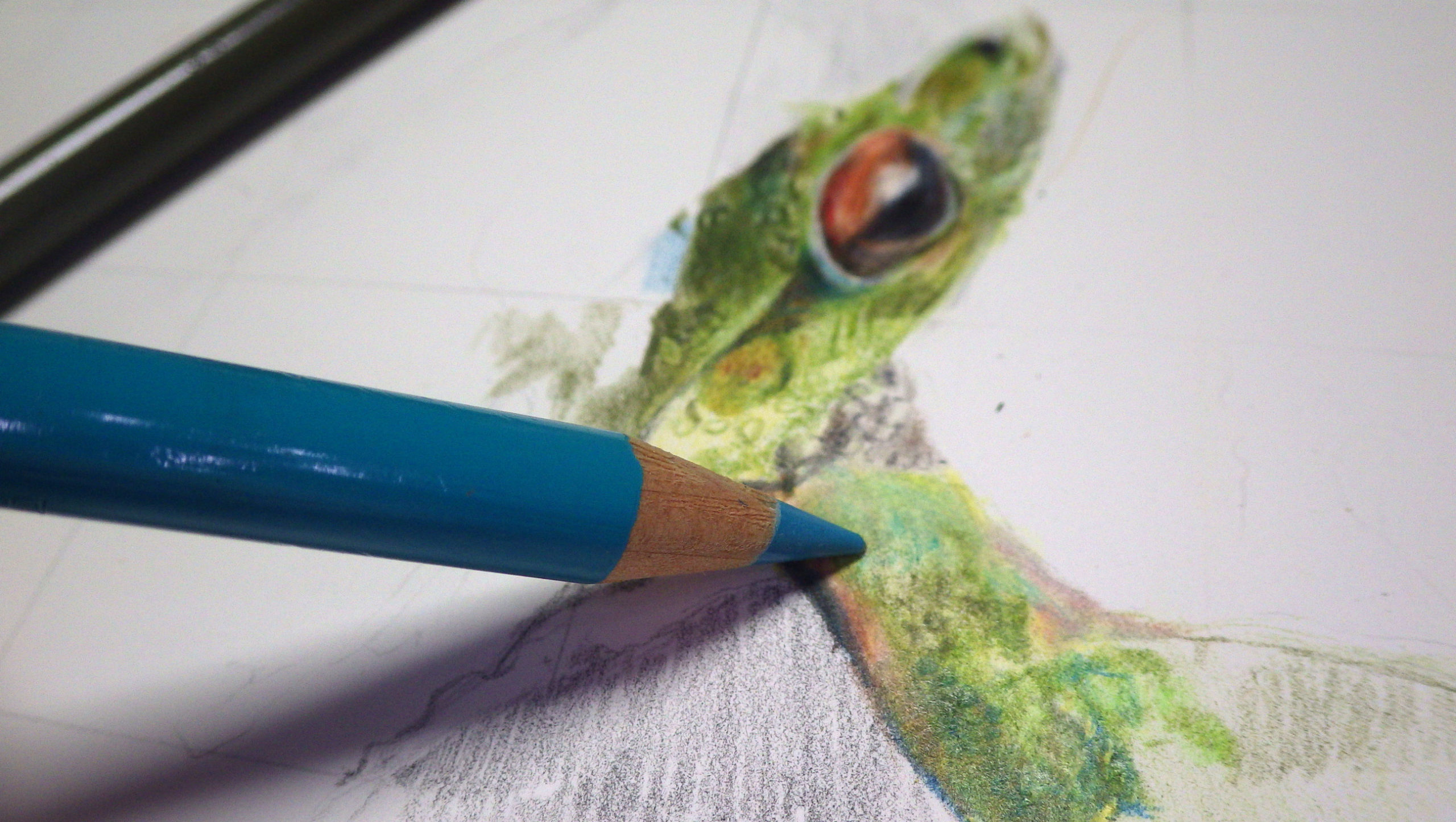 写真からリアルな色鉛筆画を描く方法 スマホアプリで簡単 画材