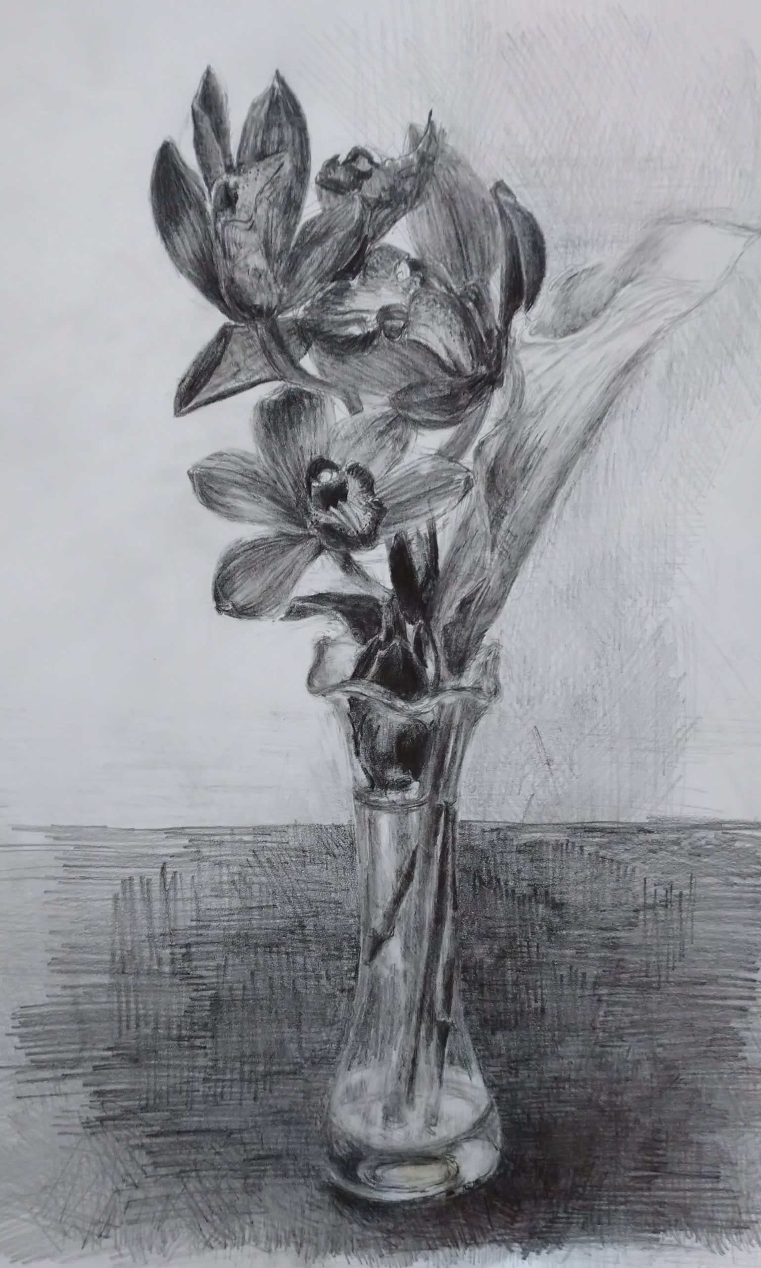 鉛筆デッサン 花を描く4つのポイント 画材マニアのアート ラボ